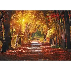 Michalczyk i Prokop trojdílný nástěnný kalendář 288 mm x 622 mm (T-106T-02)