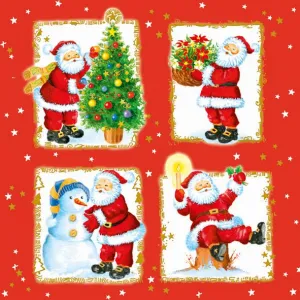 Ubrousky Pol-mak s hvězdičkou - mix 330 mm x 330 mm (Sd GW)