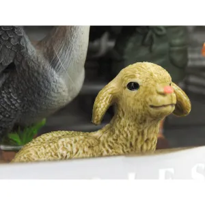 Farmářská sada Adar (3/474420)
