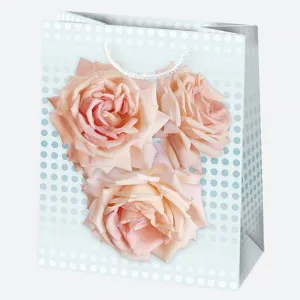 Dárková taška Pol-mak 190 mm x 230 mm x 105 mm (T4)