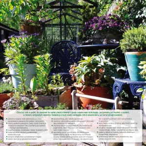 Vícepanelový nástěnný kalendář Avanti 300 mm x 600 mm (5901769620407)