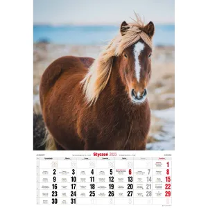 Vícepanelový pruhovaný nástěnný kalendář Avanti 285 mm x 420 mm (5901769620483)