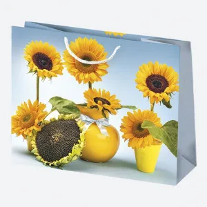 Dárková taška Pol-mak 300 mm x 230 mm x 100 mm (T6)