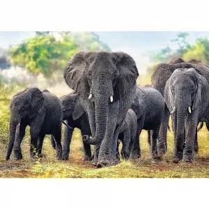 Puzzle Trefl Sloni afričtí 1000 el. (10442)