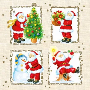 Ubrousky Pol-mak s hvězdičkou - mix 330 mm x 330 mm (Sd GW)