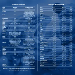 Vícepanelový nástěnný kalendář Avanti 300 mm x 600 mm (5901769620971)