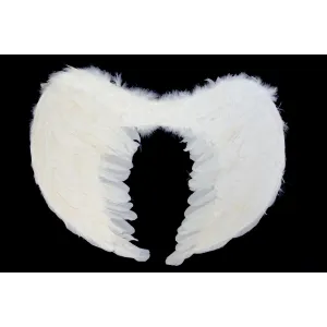 Křídla Arpex (SK7976)