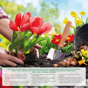 Vícepanelový nástěnný kalendář Avanti 300 mm x 600 mm (5901769620407)