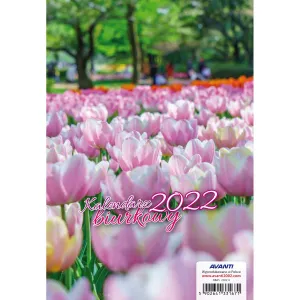 Stolní kalendář Avanti 148 mm x 210 mm (5901769620599)