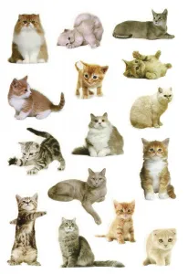 Titanum Craft-Fun Series Kočky samolepka (PPB01)