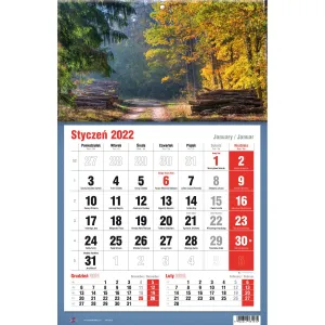 Třístranný nástěnný kalendář Avanti (5901769620582)