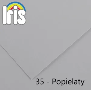 Canson Iris 35 B1 popelavě šedá 240g 25k 700mm x 1000mm (200040474)