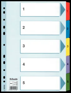 Esselte Mylar kartonový blok A4 vícebarevný 160g 5k 1-5 (100160)