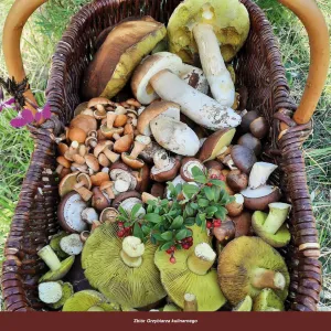 Vícepanelový nástěnný kalendář Avanti 300 mm x 300 mm (5901769621138)