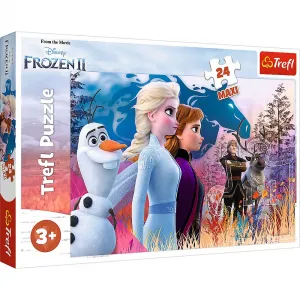 Puzzle Trefl Kouzelná expedice 24 el. (14298)