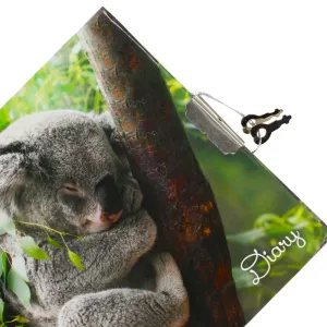 Zápisník Starpak (479586)