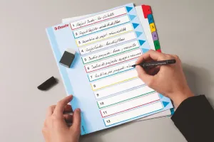 Číselný blok Esselte Mylar maxi A4 mix barev 160g 31k 1-31 (100210)
