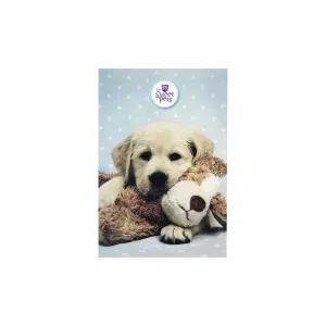 Benjamins The Sweet Pets sešity A6 30k. dotisk (2505)