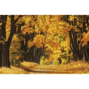 Nástěnný kalendář Michalczyk i Prokop 855 mm x 315 mm (T-105T-03)