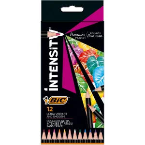 Tužky Bic Intensity 12 barev (951844)
