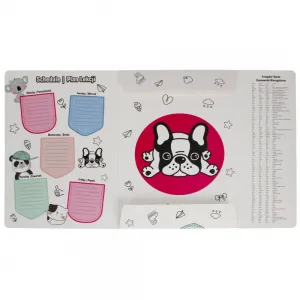 Kartonový pořadač s gumičkou Starpak Minisy A4 barva: mix (491062)