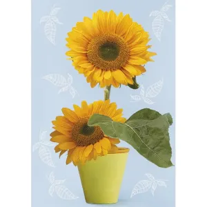 Visačky na dárky, dárky, květiny Pol-Mak 55 x 77 mm mix vzorů