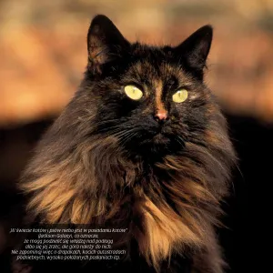 Vícepanelový nástěnný kalendář Avanti 300 mm x 300 mm (KAD-9)