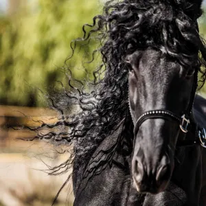 Vícepanelový nástěnný kalendář Avanti 300 mm x 600 mm (KAD-11)