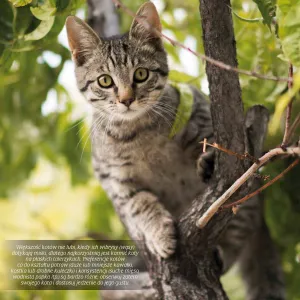 Vícepanelový nástěnný kalendář Avanti 300 mm x 300 mm (KAD-9)