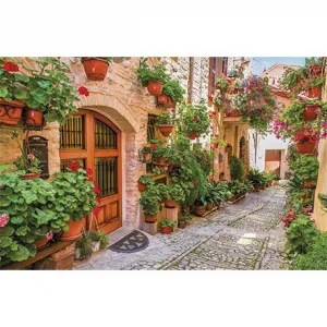 Michalczyk i Prokop nástěnný kalendář 310mm x 482mm (T-107S-5)