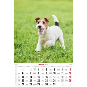 Nástěnný kalendář Avanti s pruhy 285 mm x 410 mm (5901769621107)