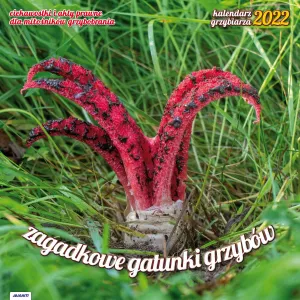 Vícepanelový nástěnný kalendář Avanti 300 mm x 300 mm (5901769621138)