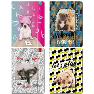 Ev-corp A4 karton Best Friend animals mix A4 barva: mix (TA4BF2)