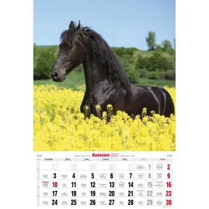 Vícepanelový pruhovaný nástěnný kalendář Avanti 285 mm x 420 mm (5901769620483)