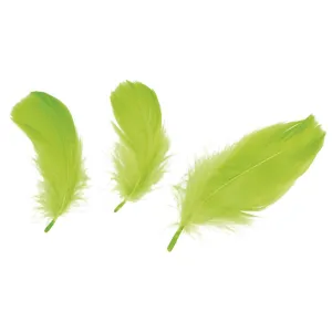 Titanum Craft-Fun Series peří limetka