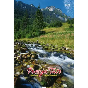 Nástěnný kalendář Avanti s pruhy 285 mm x 420 mm (5901769620827)