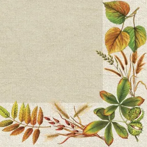 Ubrousky Pol-mak - mix 330 mm x 330 mm (SL og)