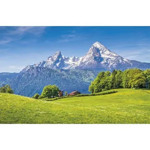 Nástěnný kalendář Michalczyk i Prokop 310 mm x 482 mm (T-107S-6)