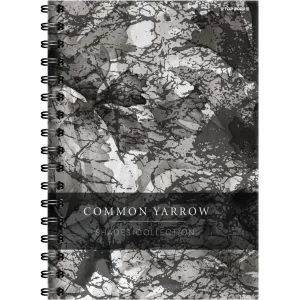 TOP-2000 Odstíny A4 kostkovaný sešit 230 mm x 295 mm (400158940)