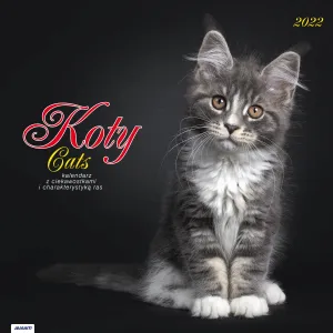 Vícepanelový nástěnný kalendář Avanti 300 mm x 300 mm (KAD-9)