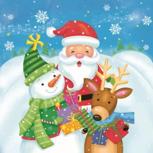 Ubrousky Pol-mak s hvězdičkou - mix 330 mm x 330 mm (Sd GW)