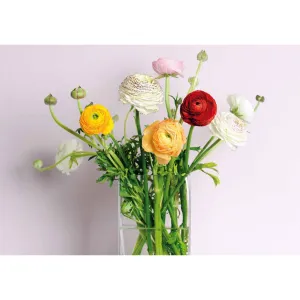 Vícepanelový nástěnný kalendář Avanti 285 mm x 410 mm (5901769621060)