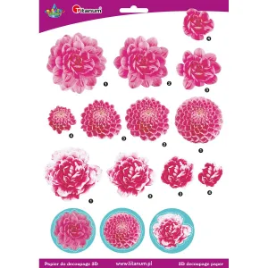 Titanum Craft-Fun Series dekupážní doplňky 3D dekorační papír (22005)