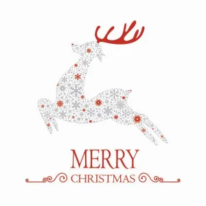 Ubrousky Pol-mak s hvězdičkou - mix 330 mm x 330 mm (Sd GW)