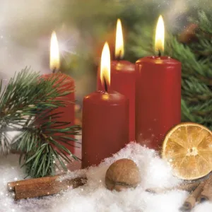 Vánoční ubrousky Pol-mak - mix 330 mm x 330 mm (SL GW)