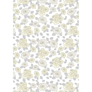 Dekorační papír Pol-mak - mix 700 mm x 1000 mm