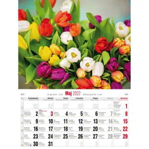 Vícepanelový nástěnný kalendář Avanti 230 mm x 320 mm (5901769620056)