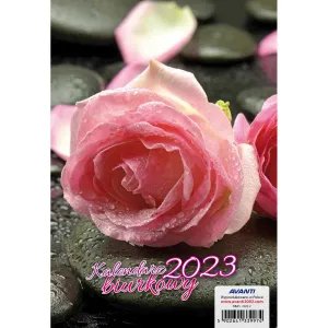 Stolní kalendář Avanti 148 mm x 210 mm (5901769620599)