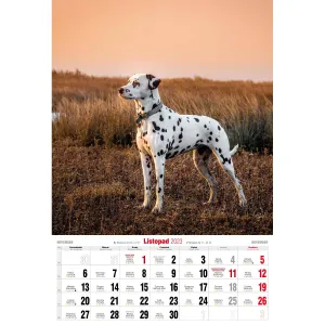 Nástěnný kalendář Avanti s pruhy 285 mm x 410 mm (5901769621107)