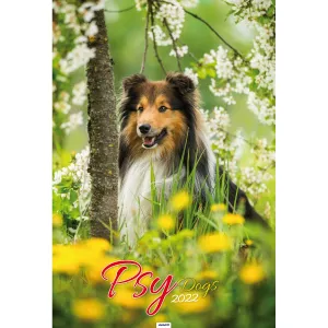 Nástěnný kalendář Avanti s pruhy 285 mm x 410 mm (5901769621107)